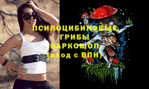 а пвп мука Арсеньев